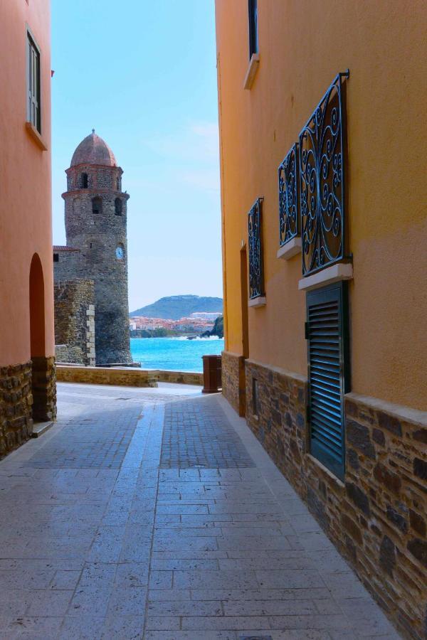 Studio Vue Mer Et Cap Canet-en-Roussillon Exterior foto